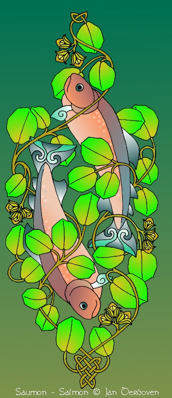 noisetier saumon